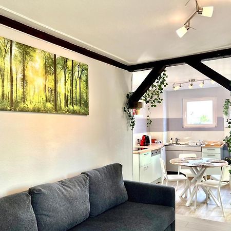 Seppala Charmant Appartement Colmar Exteriér fotografie