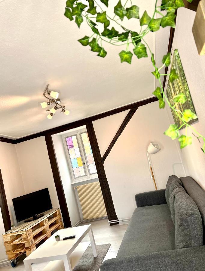 Seppala Charmant Appartement Colmar Exteriér fotografie
