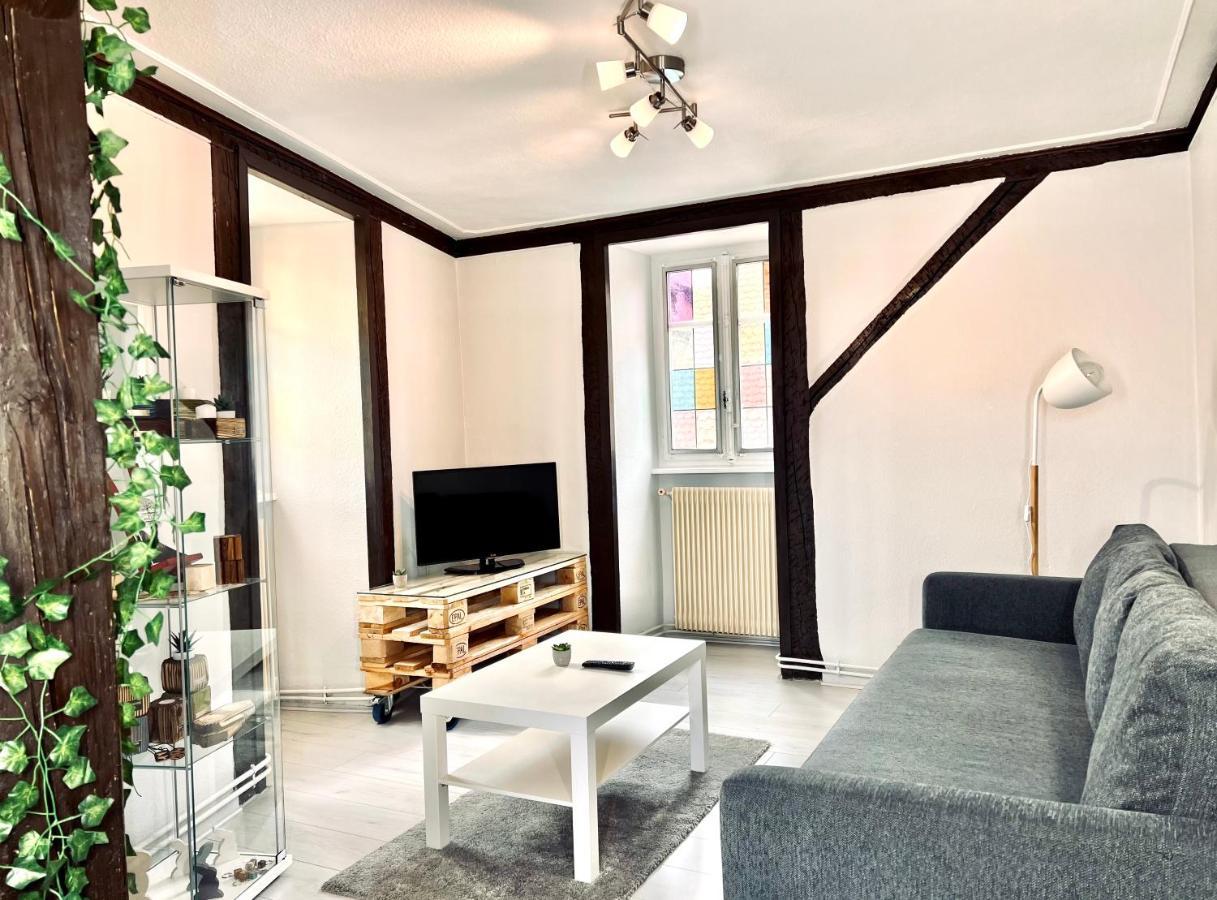 Seppala Charmant Appartement Colmar Exteriér fotografie