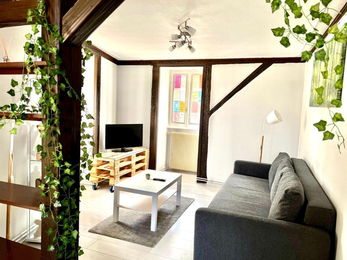 Seppala Charmant Appartement Colmar Exteriér fotografie