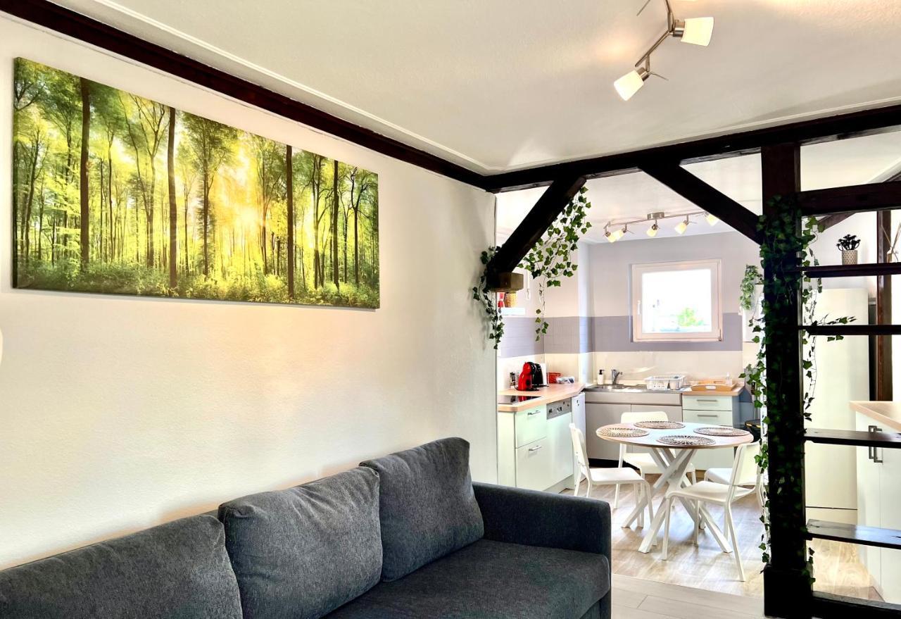 Seppala Charmant Appartement Colmar Exteriér fotografie